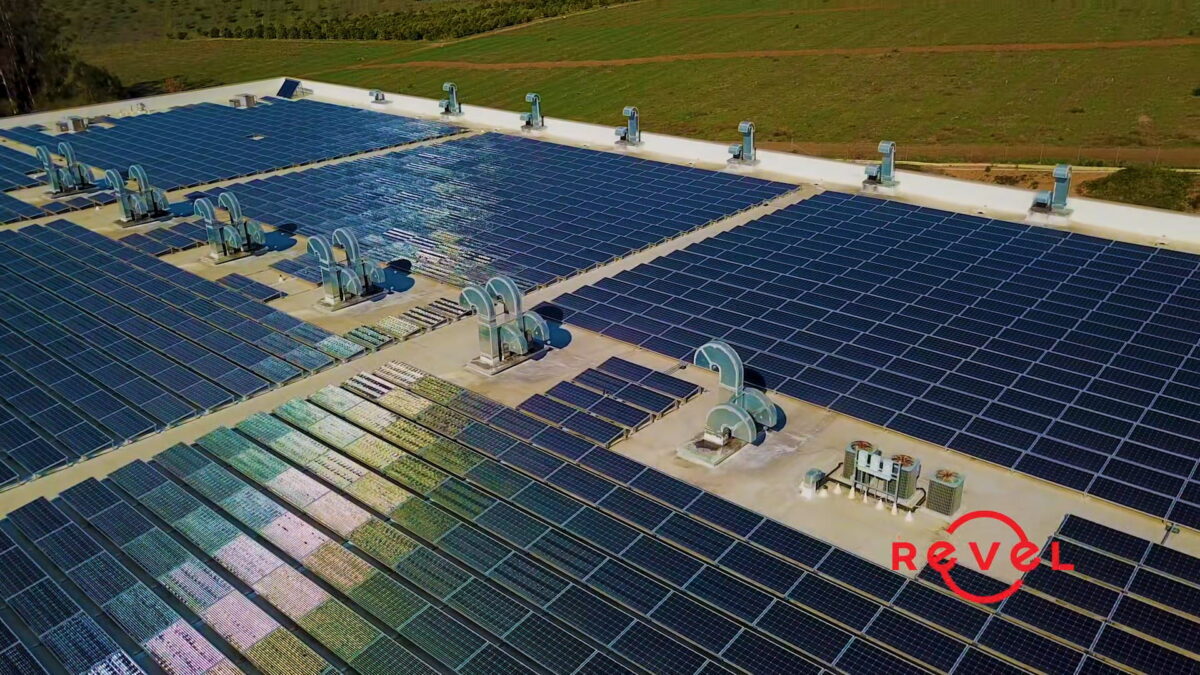 Hokto Kinoko - Commercial Solar