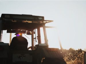 Agricultural Solar Pixley