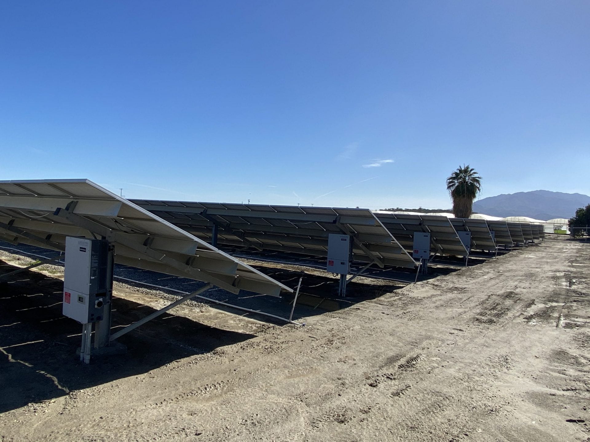IMG_4129 Behind - Long Life Farms Agriclutural Solar - Thermal, CA