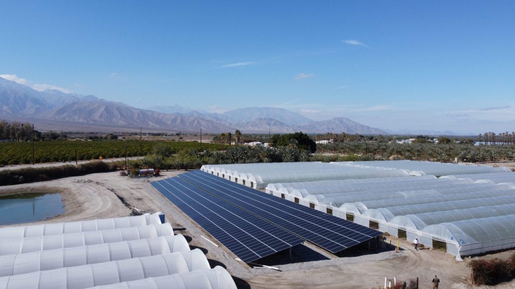 2-Long - Long Life Farms Agriclutural Solar - Thermal, CA