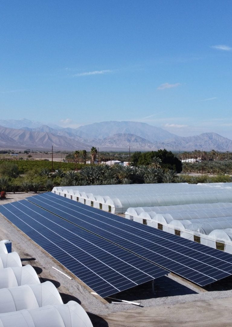 2-Long - Long Life Farms Agriclutural Solar - Thermal, CA