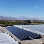 2-Long - Long Life Farms Agriclutural Solar - Thermal, CA