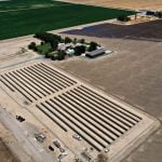 K&M Visser Dairy Agricultural Solar - Pixley, California